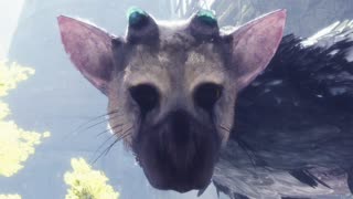 ДОЛГОЖДАННЫЙ ЭКСКЛЮЗИВ ► The Last Guardian #1