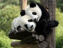 Фотография Геннадьевны Ангелины