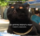 Фотография Тайны Анны