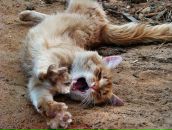 Фотография Епифанцевой Лины