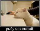 Фотография Полякова Ильи
