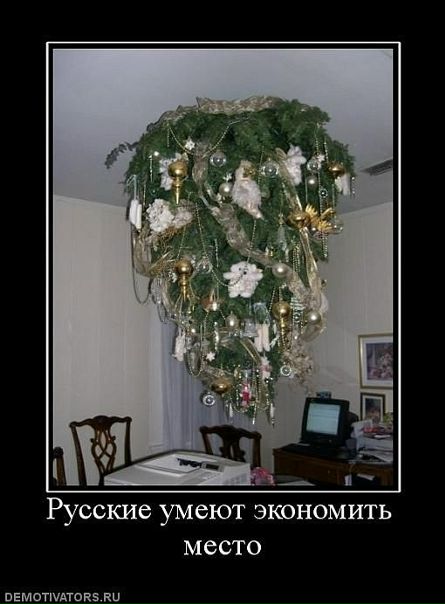 Дмитрий Евгеньевич фото №45