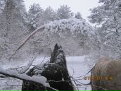 Іра Савчук фотография #3 (источник - https://vk.com/id102736004)