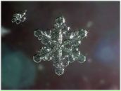 Фотография Баранцевой Екатерины