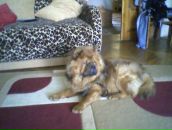 Юра Іванів фотография #47 (источник - https://vk.com/id10107291)