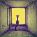 Фотография Medragon Konstantin