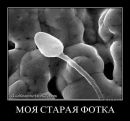 Фотография Шатунова Виталика