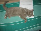 Фотография Борисовой Елены