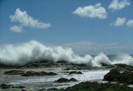 Игорь Банеев фотография #3 (источник - https://vk.com/id2998786)