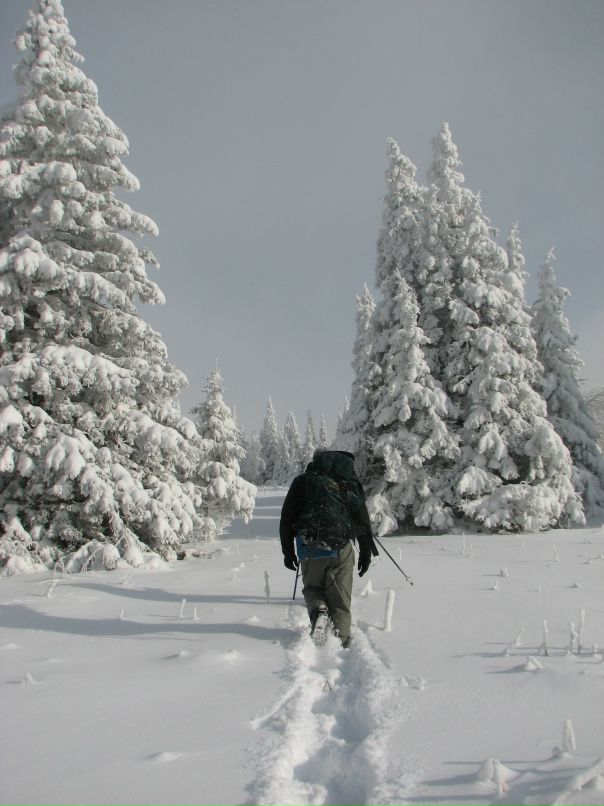 Антон Городилов фотография #43