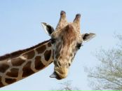 Фотография Круглова Сергея