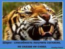 Фотография Рябкова Наталья