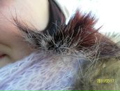 Фотография Лихобабы Марии