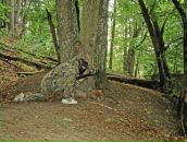 Іван Халамендик фотография #37 (источник - https://vk.com/id15329116)