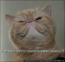 Фотография Данилова Максима