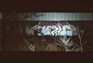 Фотография Snoom Sasha