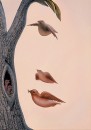 Иван Мамаев фотография #46 (источник - https://vk.com/id41126166)