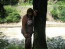 Наталія Левицька фотография #1