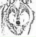 Фотография Полянина Макса