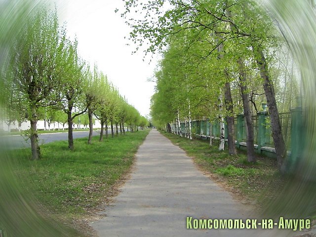 Владимир Иванов фотография #46