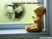 Фотография Шерстянкиной Екатерины