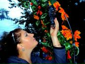 Фотография Галкиной Анны