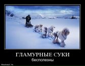 Фотография Рыбальского Артема