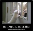 Сашка Штогрін фотография #35 (источник - https://vk.com/id165740790)