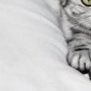 Наталія Олійник фотография #34 (источник - https://vk.com/id85387598)