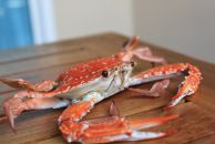 Фотография Stepanova Ekaterina