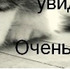Віталік Мороз фотография #4 (источник - https://vk.com/id152914821)