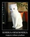 Андрій Гульчук фотография #33 (источник - https://vk.com/id21827585)
