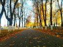 Фотография Денисовой Татьяны