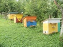 Іван Німчук фотография #5 (источник - https://vk.com/id153279288)
