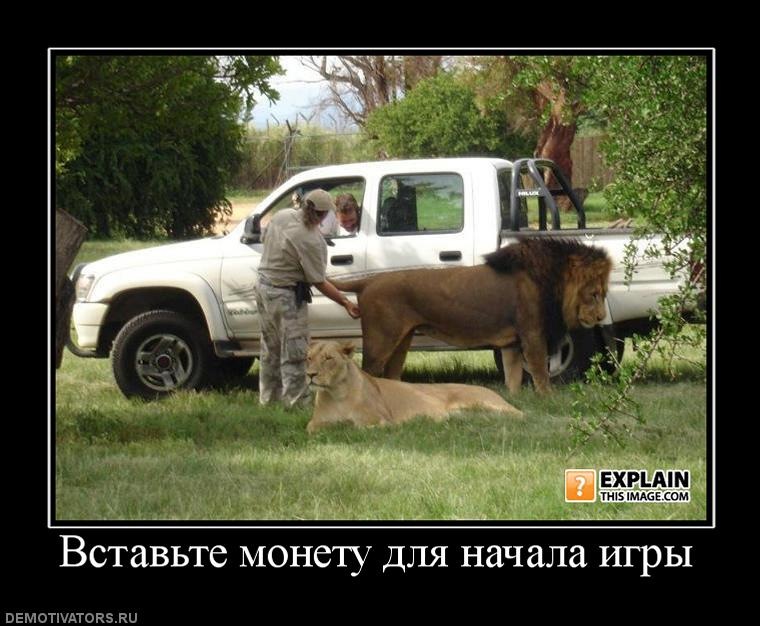 Вадим Диваков фотография #11