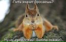 Фотография Максим Бобин
