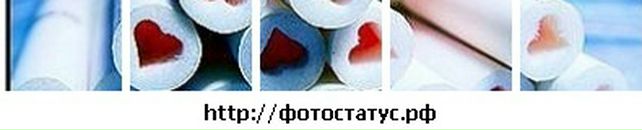 Даша Євдоченко фотография #34 (источник - https://vk.com/id69196615)