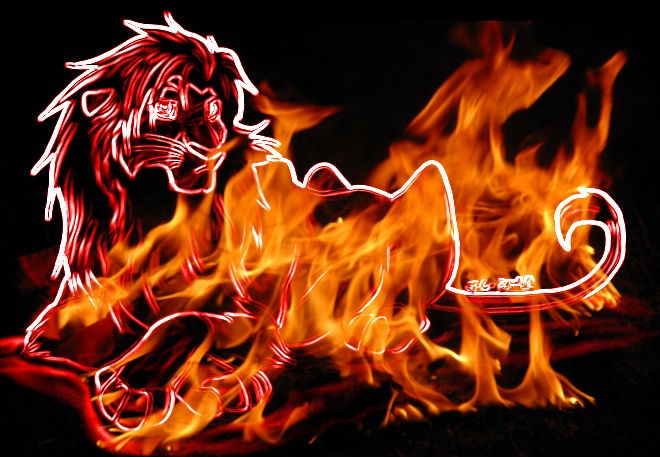 Симба Лев фотография #43