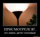Міша Топоринський фотография #26 (источник - https://vk.com/id62491474)