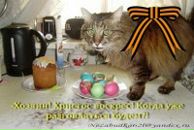 Фотография Гринько Павла