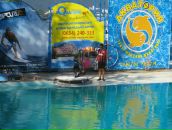 Дарія Василевська фотография #49 (источник - https://vk.com/id10233208)