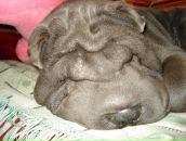 Фотография Седого Сергея