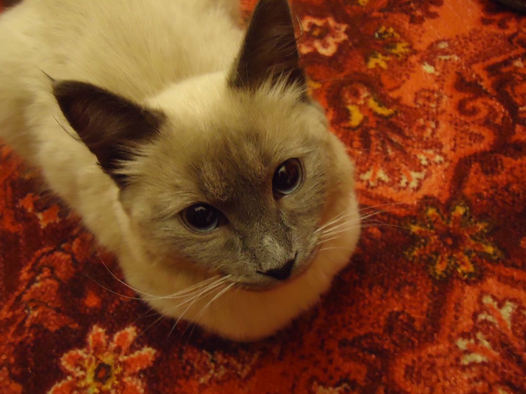 Антон Орлов фотография #10