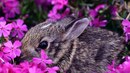 Фотография Евгения Коновалова