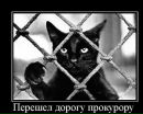 Агафон Тихін фотография #41 (источник - https://vk.com/id78163465)