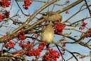 Фотография Сергеевой Анны