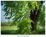 Фотография Ворожцовой Елены