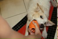 Фотография Витты Евгении