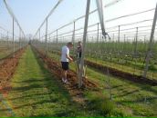 Іра Бойко фотография #28 (источник - https://vk.com/id127512127)