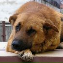 Сергій Кирик фотография #34 (источник - https://vk.com/id30807309)